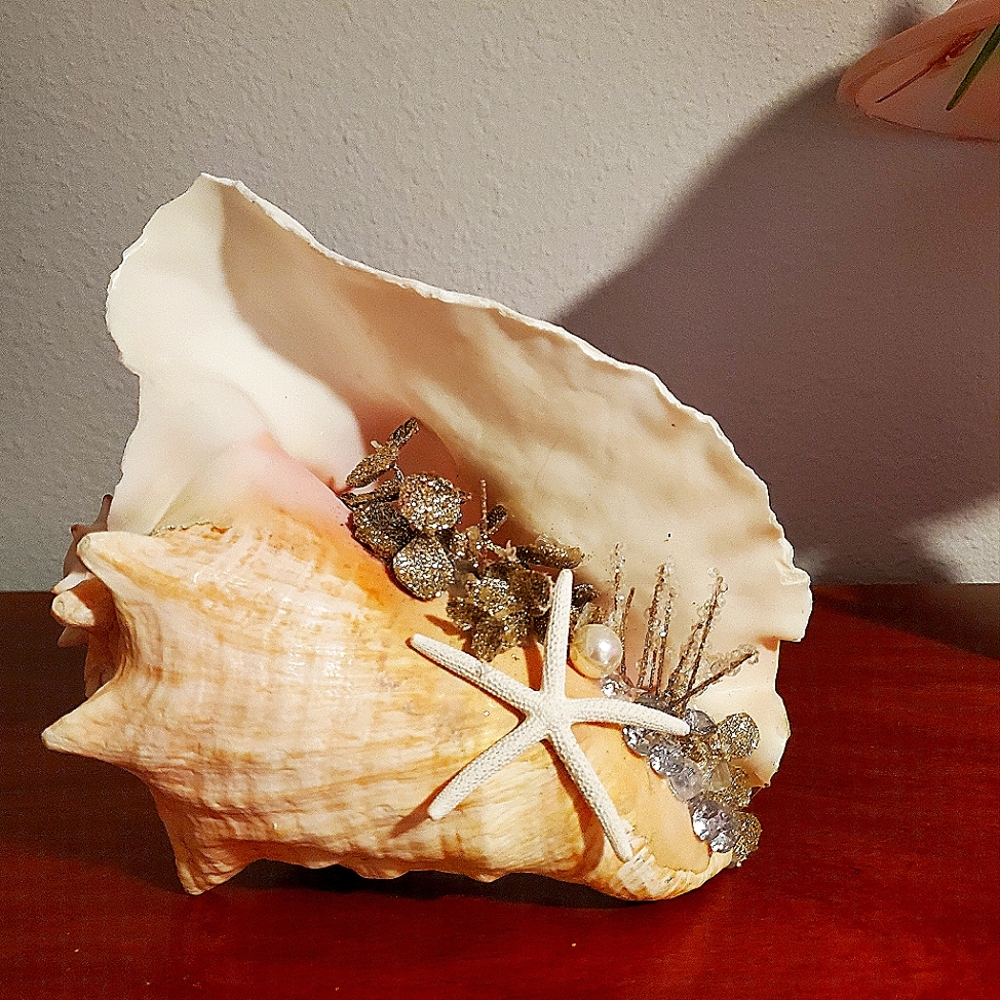 DECORATIVE CONCH SHELL